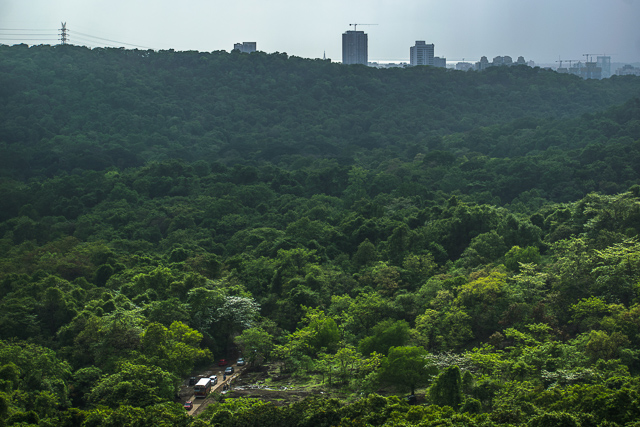 Image of Sanjay Gandhi National Park